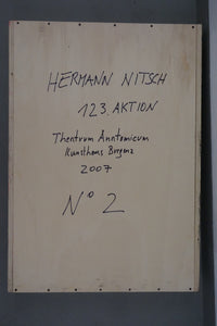Hermann Nitsch - 123. Aktion, Holzkiste